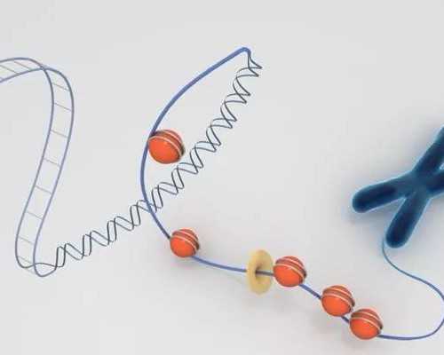 重庆供卵代怀技术成熟吗？深度解析供卵代生与助孕