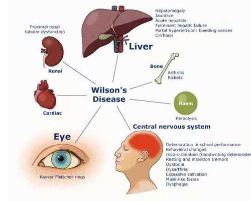重庆试管助孕指南：联系方式、陪产假政策及医院选择