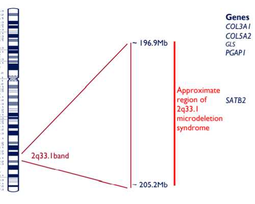 重庆助孕专家推荐：吴成医生与辅助生殖技术解析