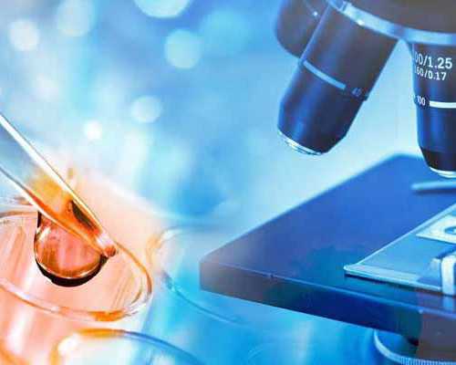 重庆助孕指南：揭秘代生、代怀试管及私立借卵价格