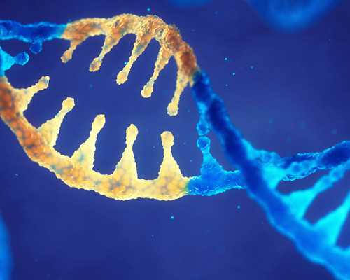 生殖助孕解析：西南医院试管技术与专家团队