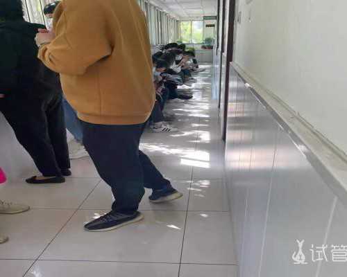 张庆华医生供卵试管婴儿成功率解析