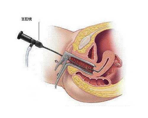 重庆公司三八节特权：6天假期引热议，代生家庭福利探讨