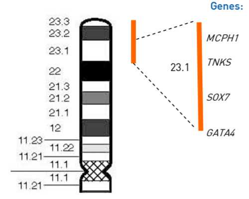 费用探秘：重庆试管婴儿周期与成功率的影响因素