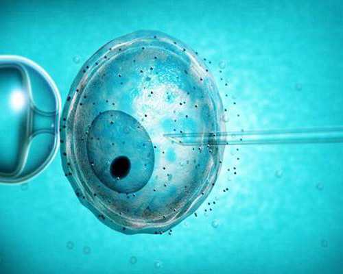 重庆哪里可以借卵子 重庆市中医院 ‘彩超3秒看男女’